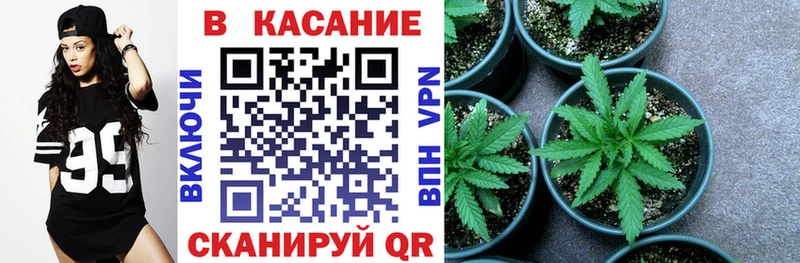 Магазины продажи наркотиков Задонск Галлюциногенные грибы  КОКАИН  ГАШ  Конопля  СОЛЬ 