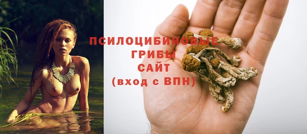 кокаин Алексин