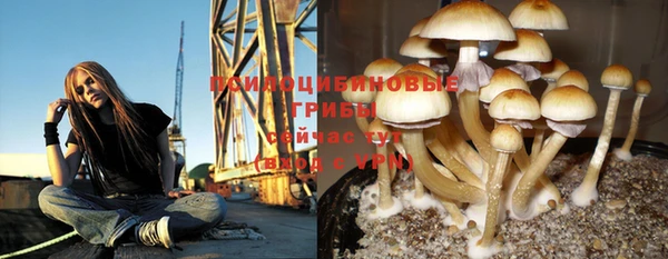 кокаин Алексин